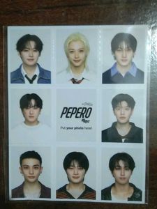 Stray Kids K-Pop Photo Card Set - K-Pop Idols