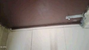Door Guard pack of 4