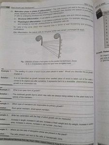 botany study material for neet