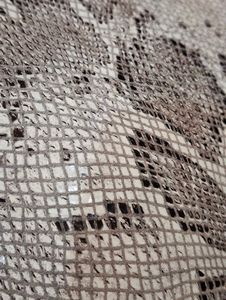 Stylish Snake skin leather Crossbody Bag