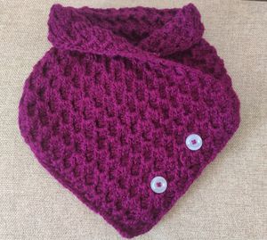 Neck Warmer