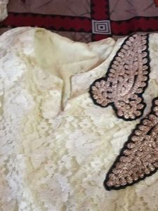 Elegant Lace Ethnic Gown