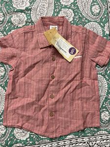 Striped Short-Sleeve Button-Up Shirt