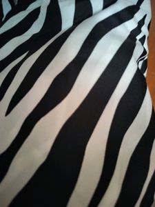 Zara Crop SHIRT