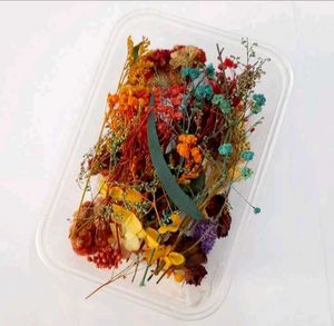Dry Flower Box