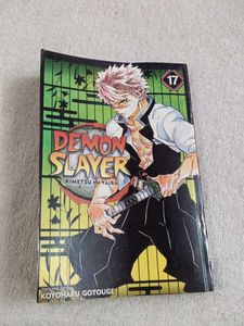 Demon Slayer 17