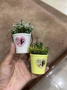 Pack Of 2 Planters Fridge Magnet