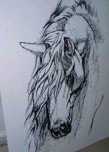 ✨Hand-Drawn Horse Sketch✨