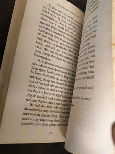 The Girl Who Loved A Spy