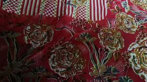 "Crimson Blooms: A Red Floral Print Saree 🌹🌼💃"