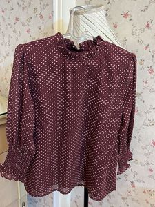 Chic Polka Dot Sheer Blouse