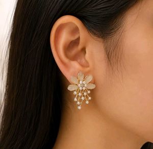 Sparkling korean Earrings
