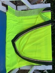 Neon Saree