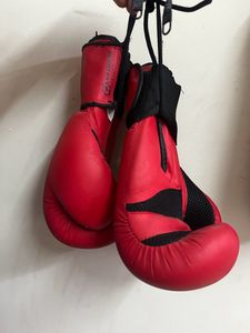 Boxing Gloves 8OZ