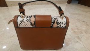 Charles &amp; Keith Snakeskin Print Handbag