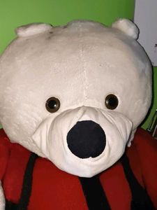 Large White Teddy Bear