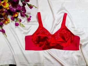 🇳🇿💫🎀Elegant Red Satin Bra