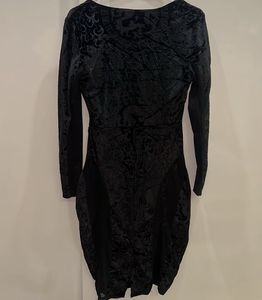 Velvet Dragon Print Dress