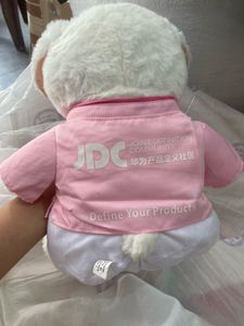Cute White Teddy Bear with Pink Outfit