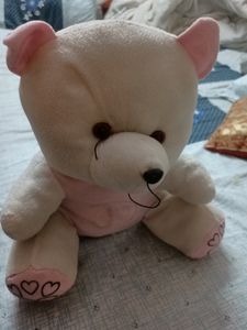 Teddy Bear