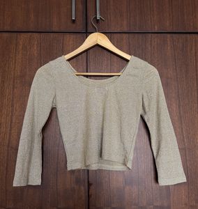 Gold Shimmery Crop Top