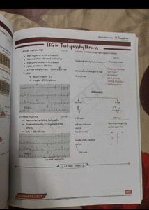 PHYSIOLOGY E GURUKUL NOTES 3.0