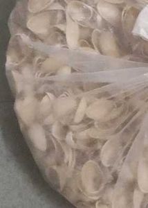 Bulk Pistachio Shells - Crafting &amp; Decor