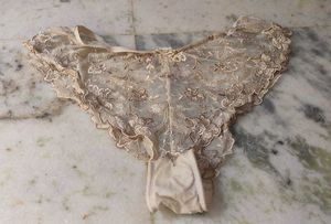 Lace Trimmed Briefs
