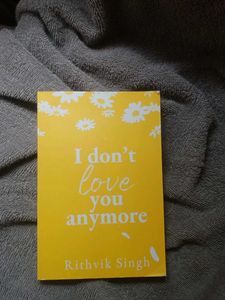 I Don't Love You Anymore - Rithvik Singh