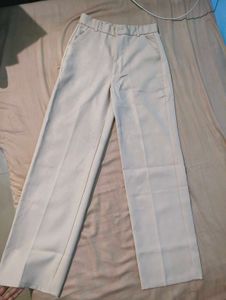 Beige Wide-Leg Trousers