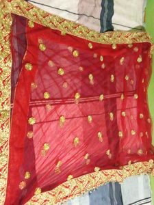 Elegant Red &amp; Gold Embroidered Lehenga Choli