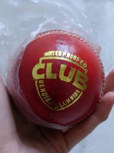 Leather Ball