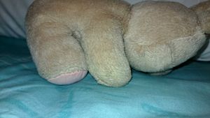Cute Plush Bunny Toy