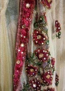 Embroidered Net Saree (ready to wear)