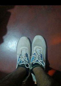 'Campus' White Sneakers