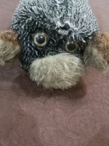 Dog Bag