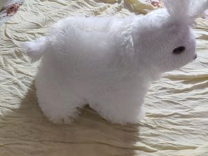 Rabbit Teddy Bear