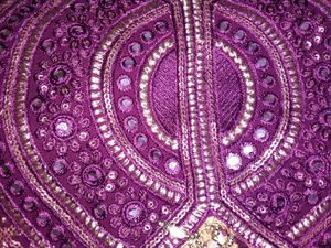 Sparkling  Lehenga choli