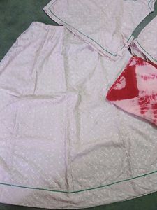 Light Pink Chikankari Lehenga Set