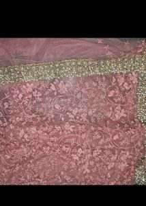 Stunning Embroidered Saree with Pearl Border