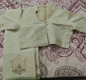 Elegant Pastel Green Saree with matching blouse