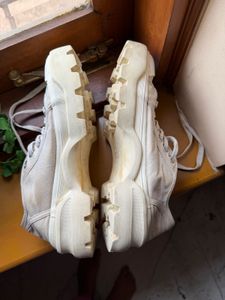 Original H&amp;M Chunky Canvas Sneakers UK6