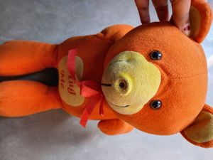 Orange Teddy Bear