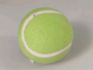 Tennis Cricket Ball, Used