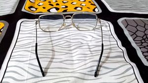 David Beckham Sunglass