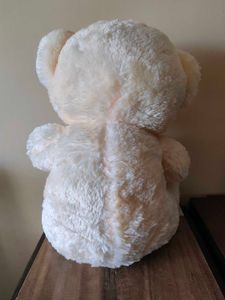 NEW Cute Teddy Bear with "Love You" Heart