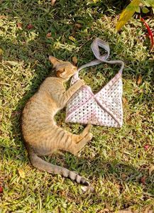⋆˚꩜｡Crochet Shoulder Bag⋆˚꩜｡