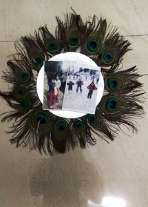 Peacock Feather Wall Decorative Item Use In Photo