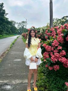 Yellow Printed Mandarin Collar Top