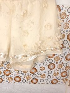 Gold Casual Briefs (Girls) freebie